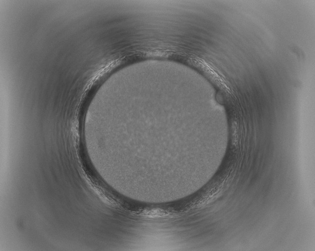 X0000115390634200912151500