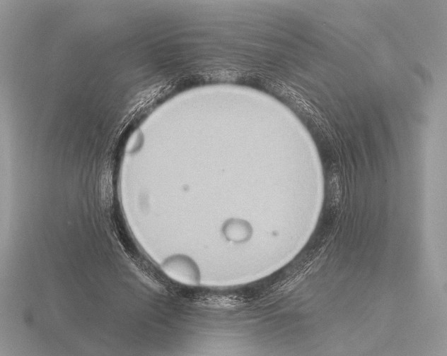 X0000115390638200912151500