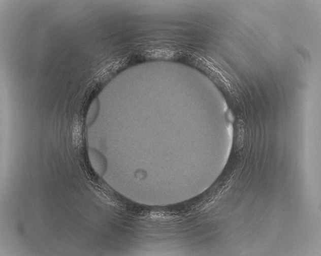 X0000115390641200912151500