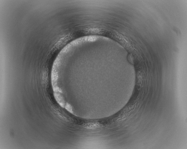 X0000115390642200912151500