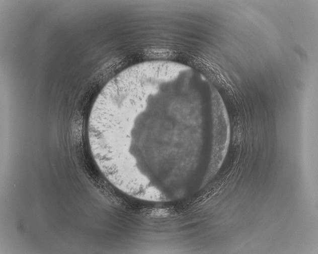 X0000115390647200912151500