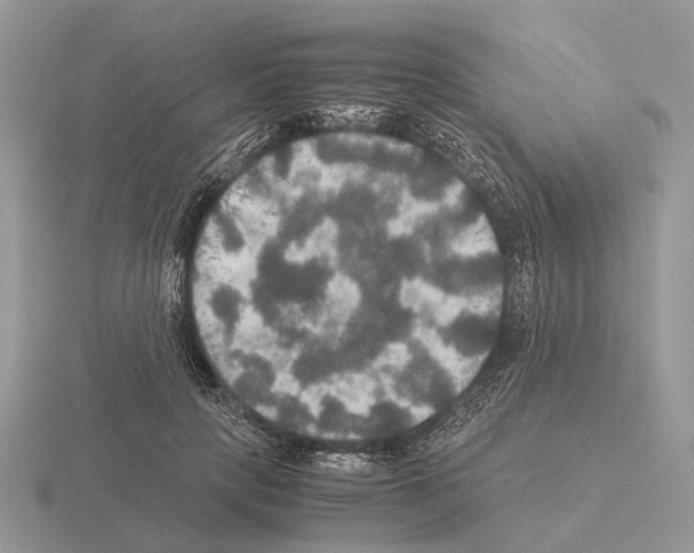 X0000115390649200912151500