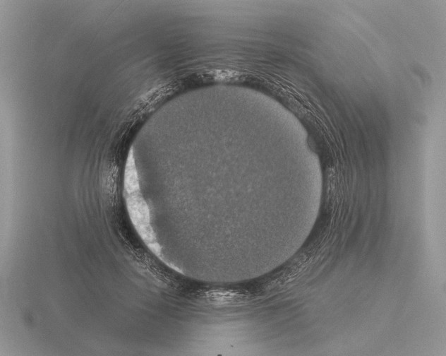 X0000115390650200912151500