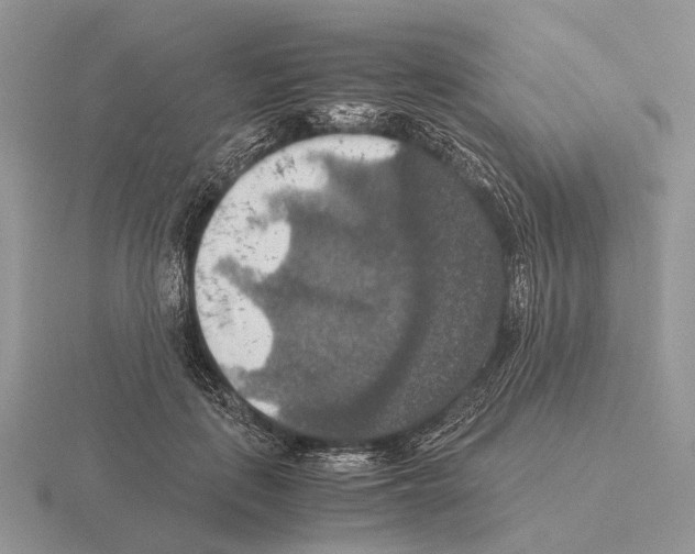 X0000115390651200912151500