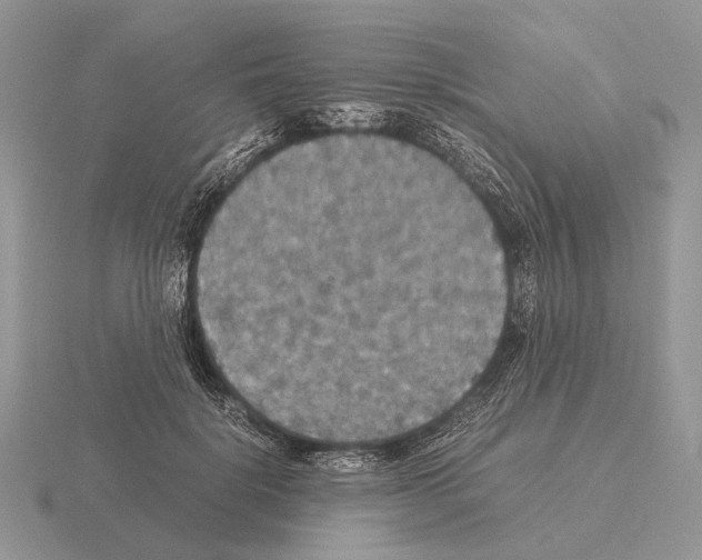 X0000115390652200912151500