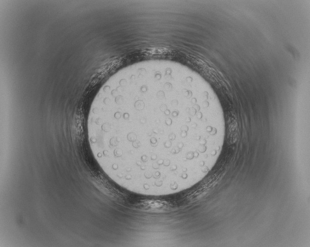 X0000115390654200912151500