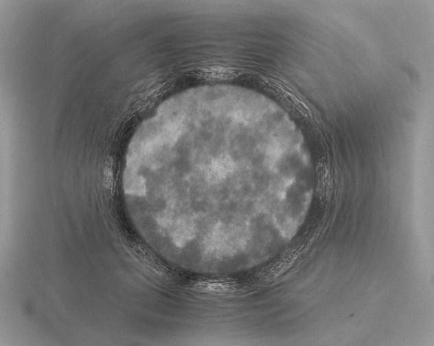 X0000115390655200912151500