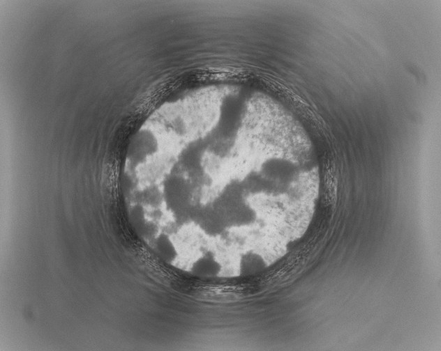 X0000115390657200912151501