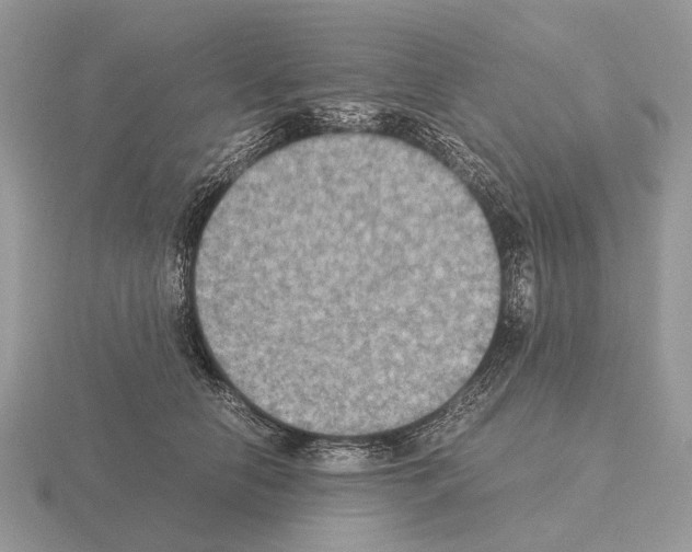 X0000115390658200912151501