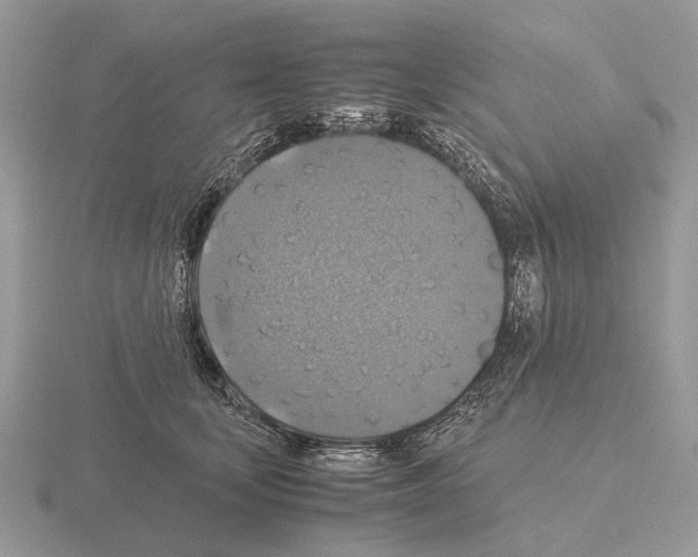 X0000115390659200912151501