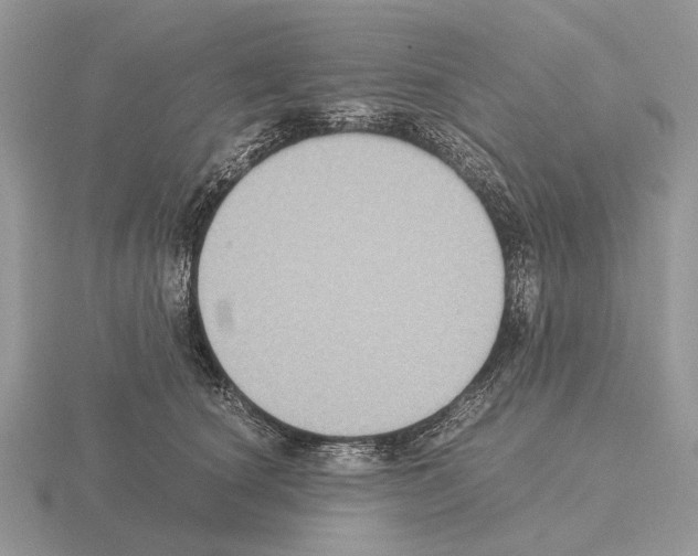 X0000115390660200912151501