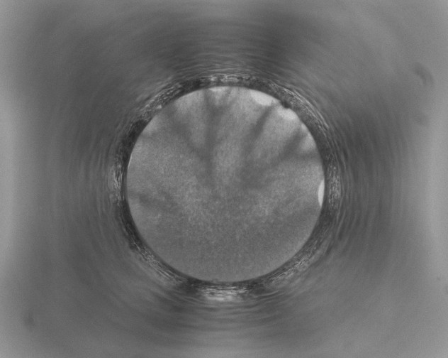 X0000115390661200912151501