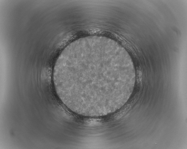 X0000115390664200912151501