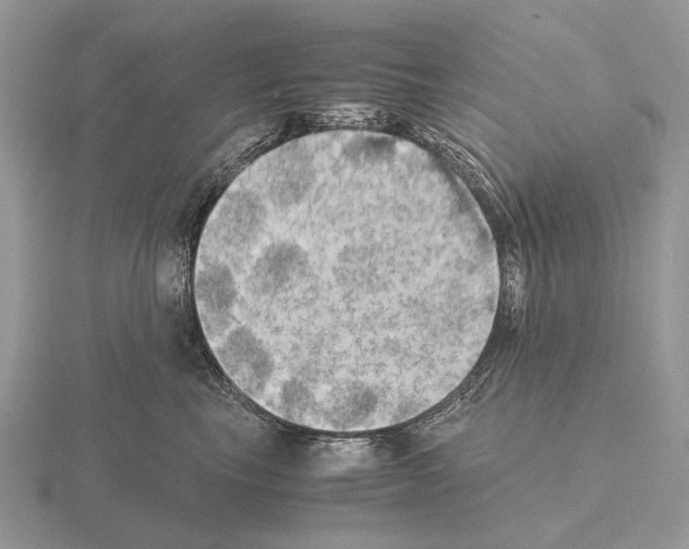 X0000115390665200912151501