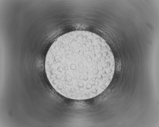 X0000115390666200912151501