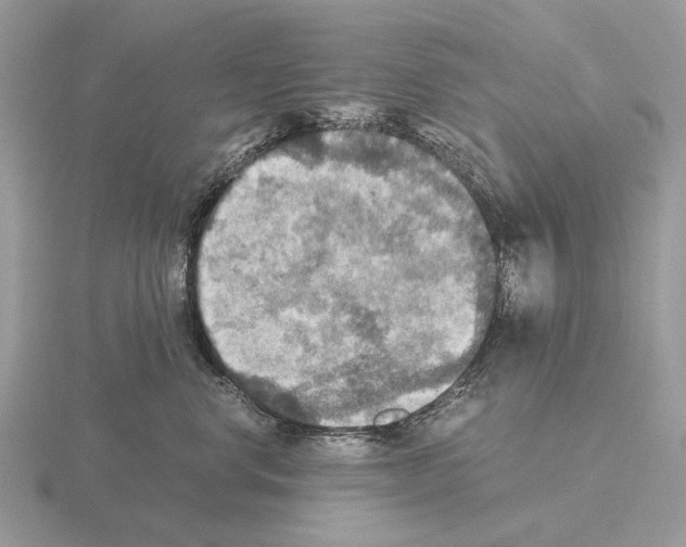 X0000115390668200912151501