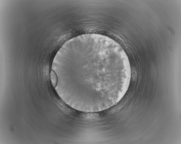 X0000115390670200912151501