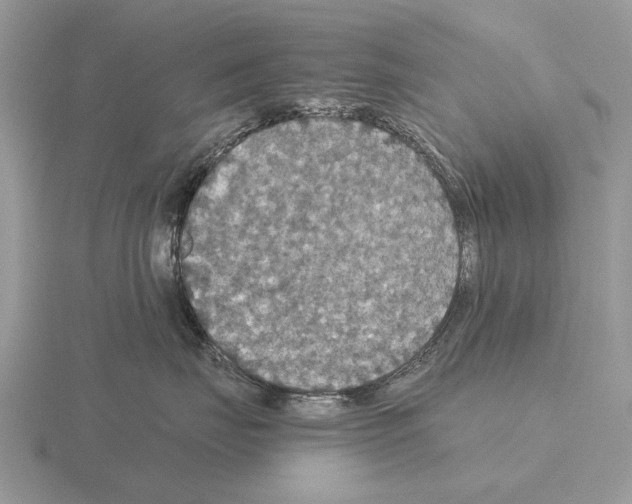 X0000115390671200912151501