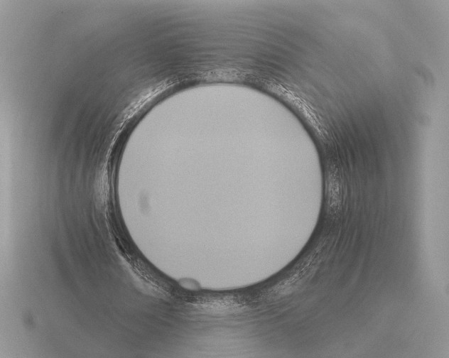 X0000115390674200912151500