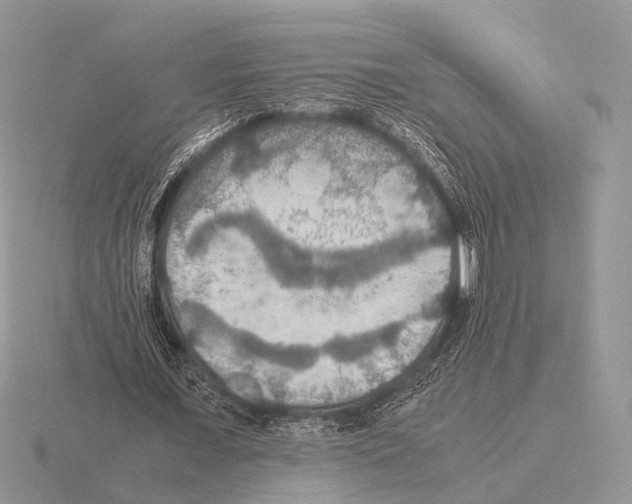 X0000115390675200912151500