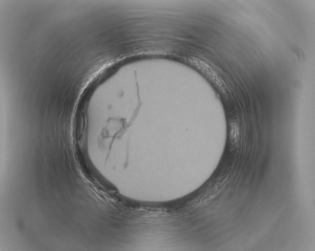 X0000115390676200912151500