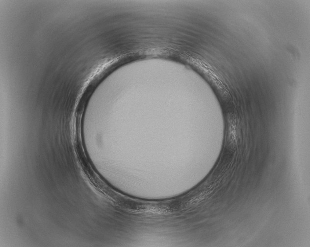 X0000115390678200912151500