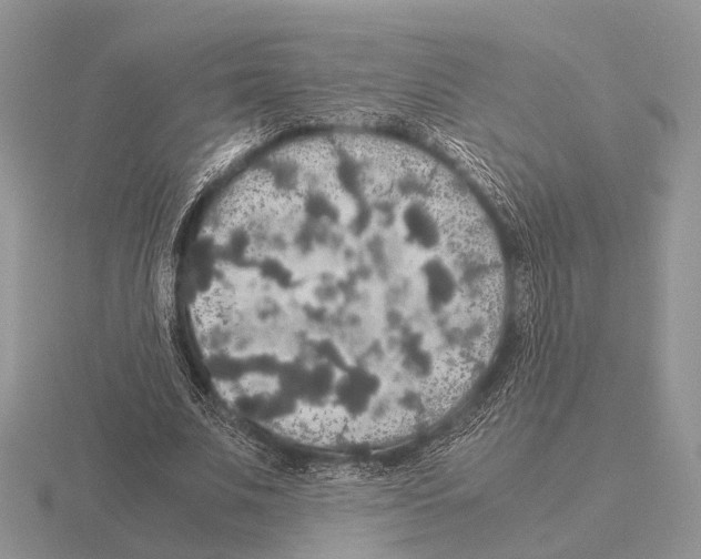 X0000115390679200912151500