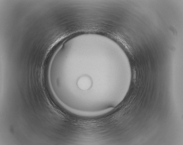 X0000115390684200912151500