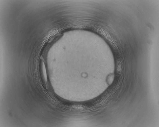 X0000115390685200912151500