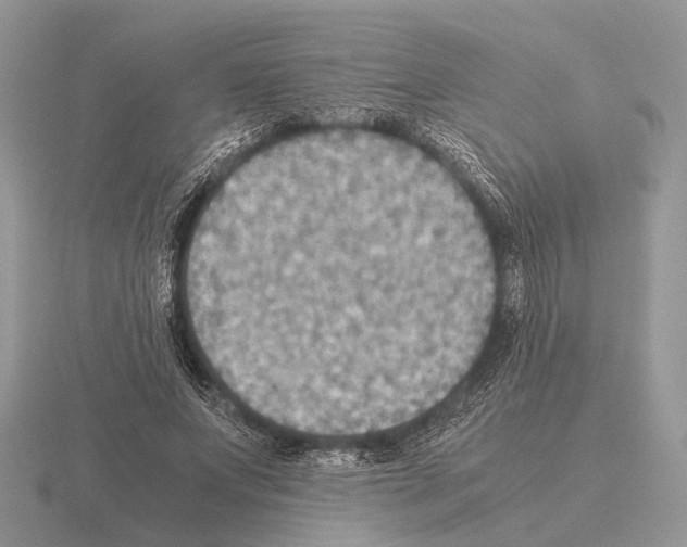 X0000115390687200912151500