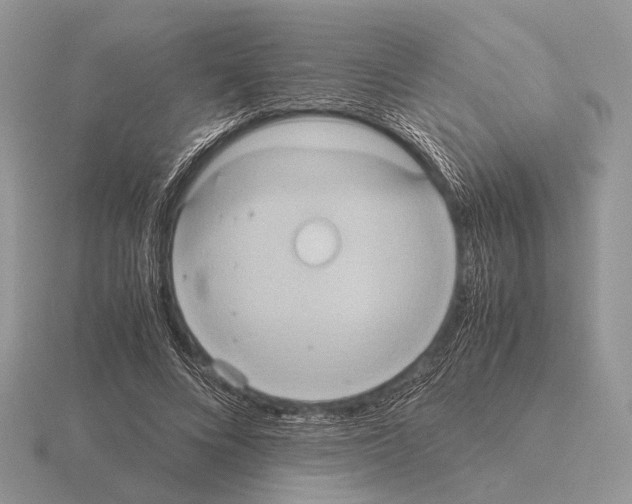 X0000115390688200912151500