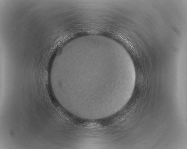 X0000115390689200912151500