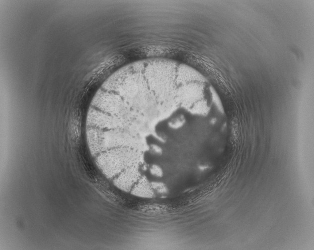 X0000115390691200912151500