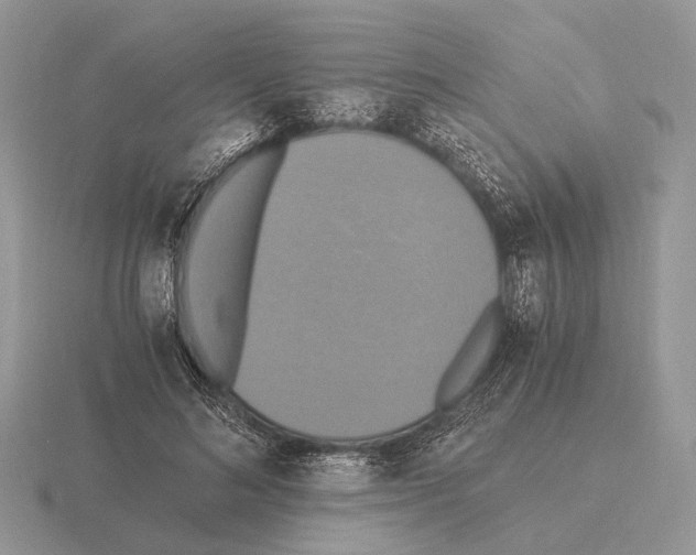 X0000115390692200912151500