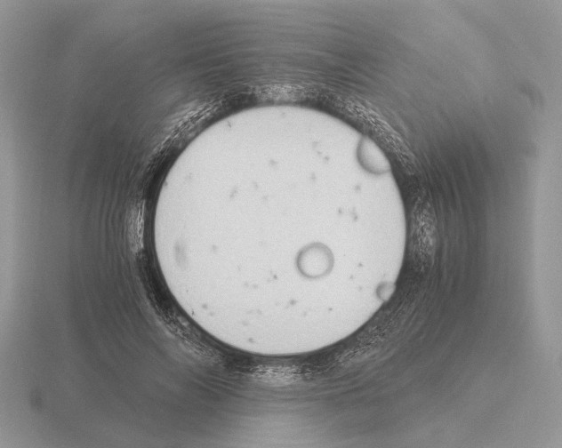 X0000115390694200912151500