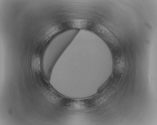 X0000115390696200912151500