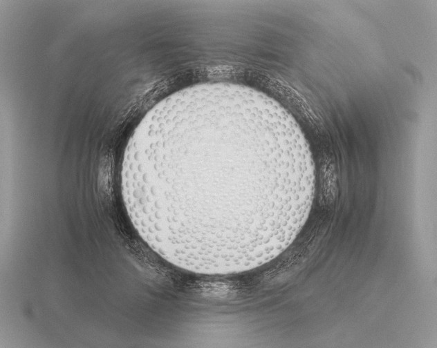 X0000115390698200912151500