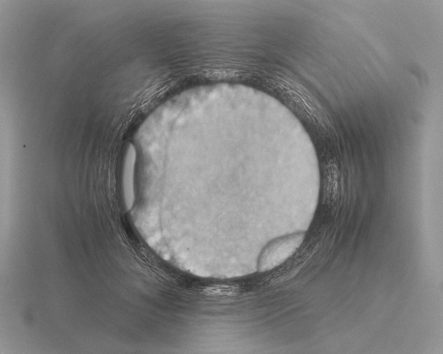 X0000115390700200912151500