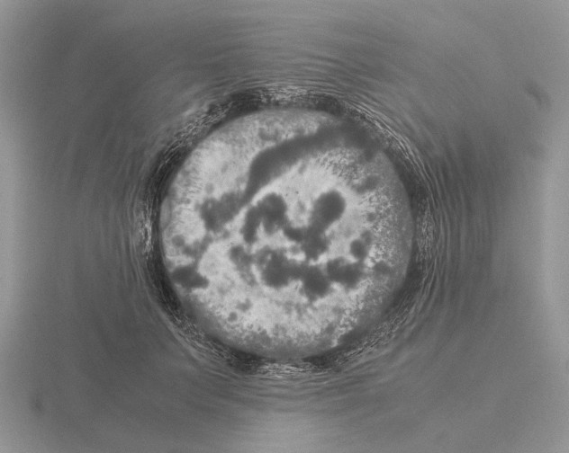 X0000115390703200912151500