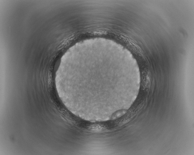 X0000115390704200912151500