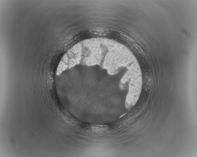 X0000115390707200912151500