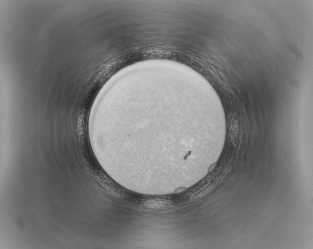 X0000115390708200912151500