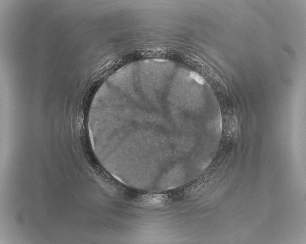 X0000115390711200912151500