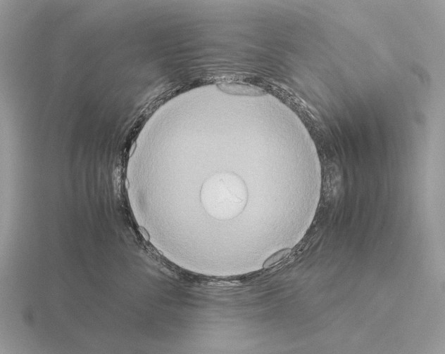 X0000115390716200912151500