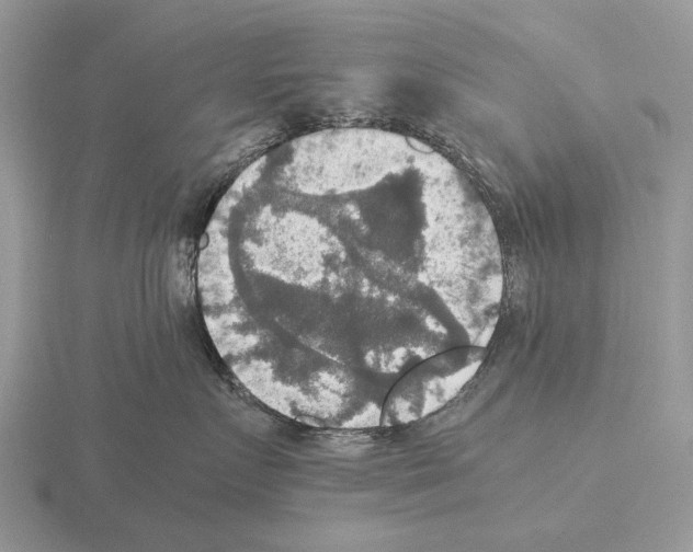 X0000115390719200912151500