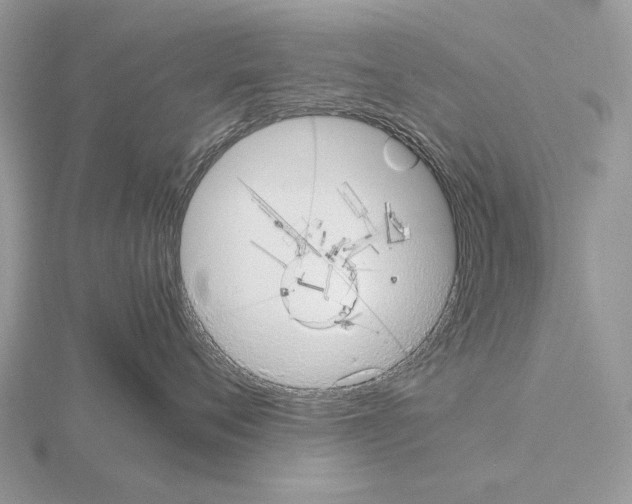 X0000115390720200912151459