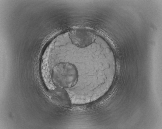 X0000115390721200912151459