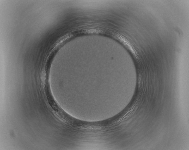 X0000115390722200912151459