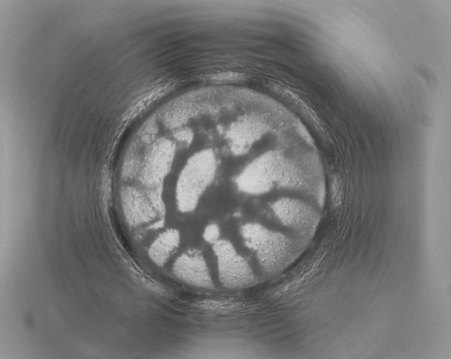 X0000115390725200912151459