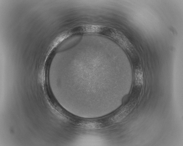 X0000115390726200912151459